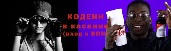 хмурый Арсеньев