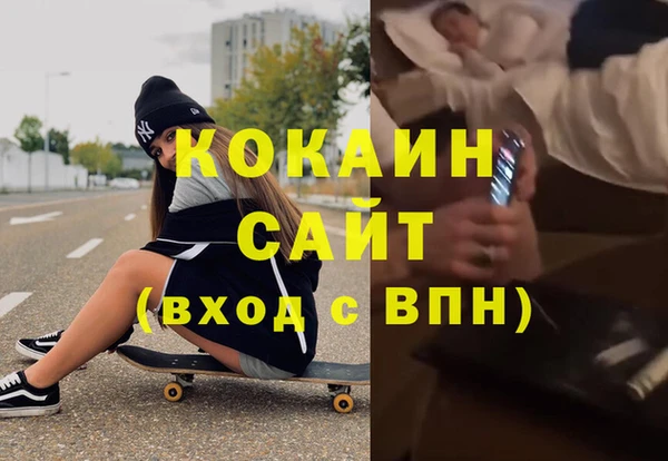 хмурый Арсеньев