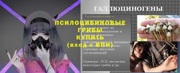 хмурый Арсеньев