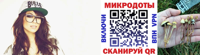 Псилоцибиновые грибы прущие грибы  наркошоп  Верхоянск 